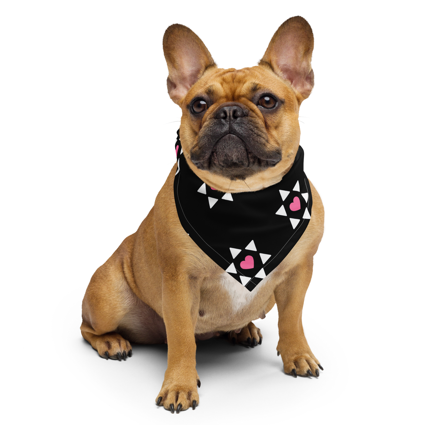 "All Heart" Pet Bandana