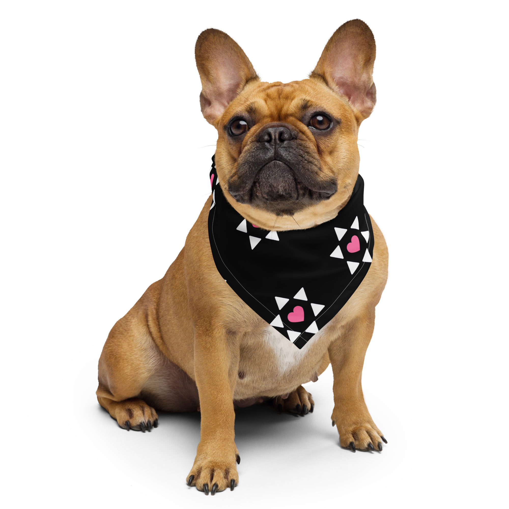 "All Heart" Pet Bandana