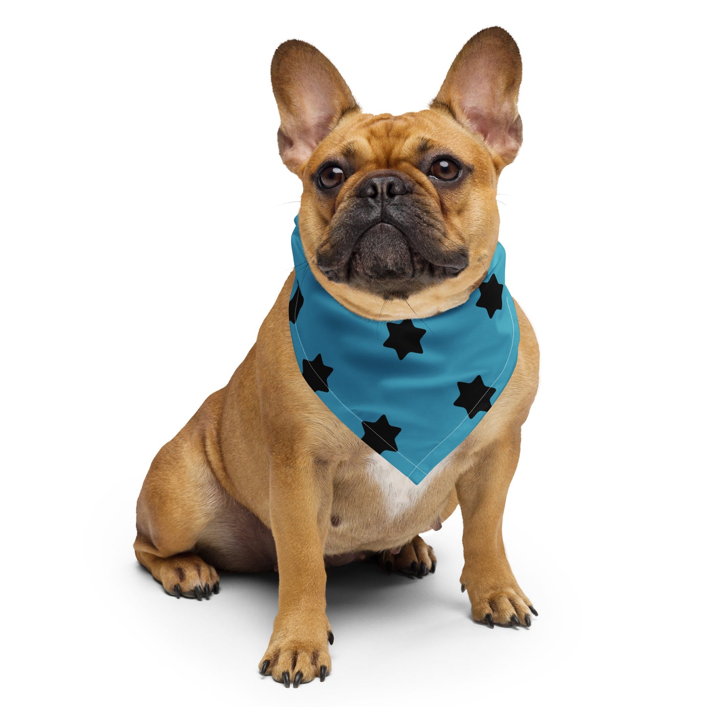 I'm That Jew™ Star of David Pet Bandana