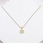 Star of David Necklace with Swarovski Crystal