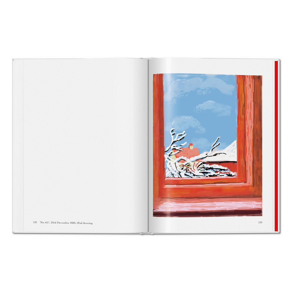 David Hockney. My Window