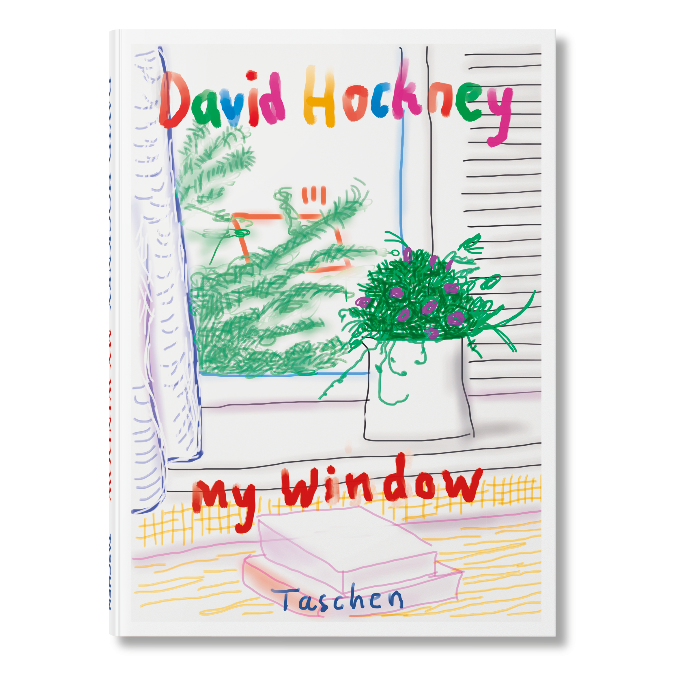 David Hockney. My Window
