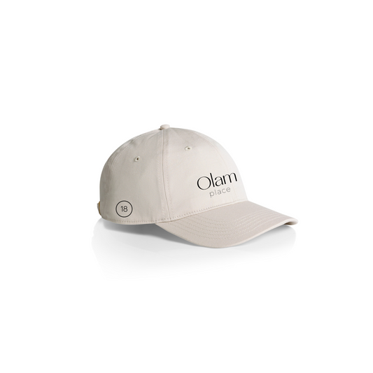 Bone Unisex Dad Hat