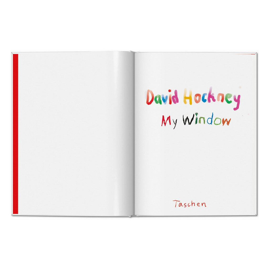David Hockney. My Window