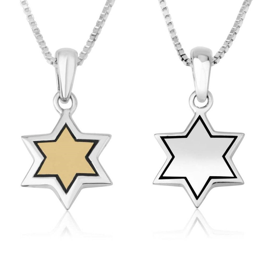 Two-Tone Star of David Necklace