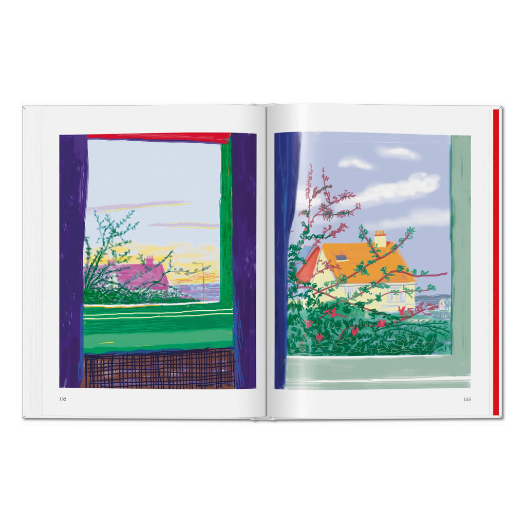 David Hockney. My Window
