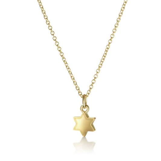 Dainty 14K Gold Star of David Necklace