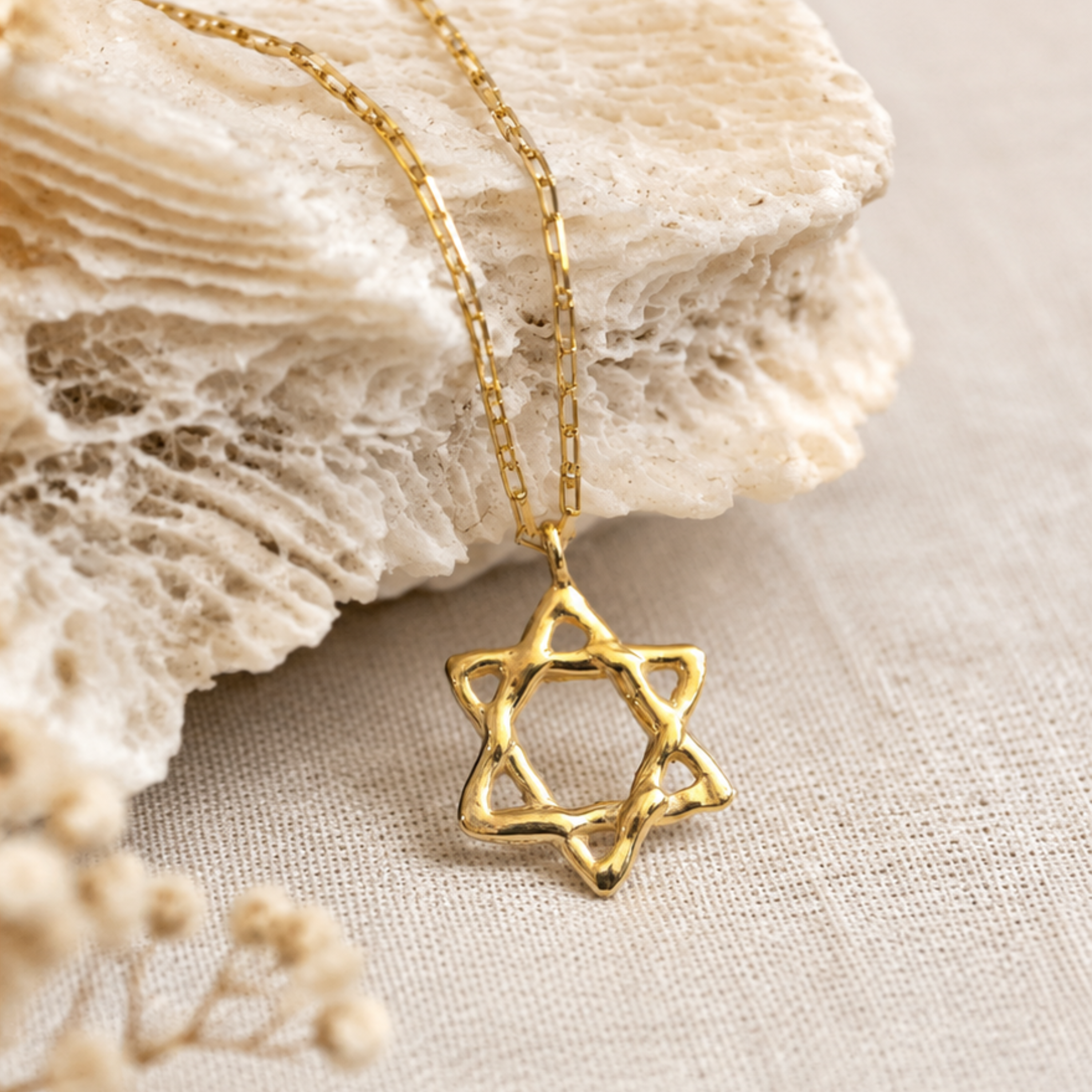 Gold Adi Star of David necklace by Jollori displayed on natural stone