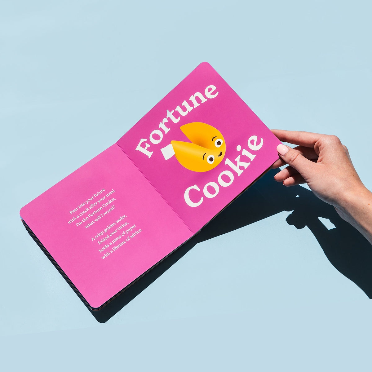 Little Book of Cookies illustrated board book by Chunky Deli, product photograph