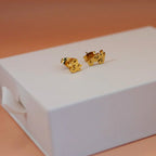 Oy Vey Stud Earrings