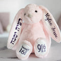 Pink personalized plush bunny with a child’s name in English and Hebrew on the ears and custom birth dates on the feet