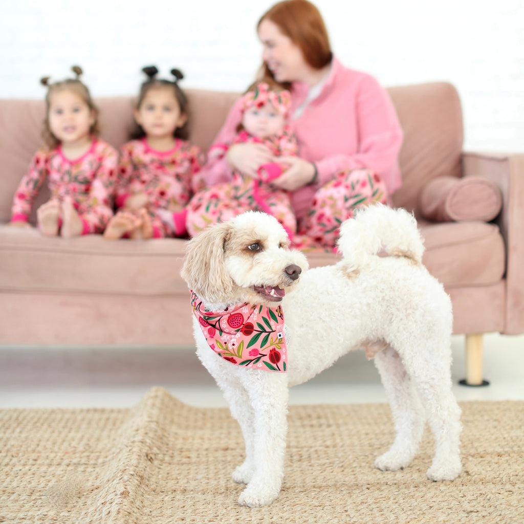 Family in matching Petals & Pomegranates pajamas with dog wearing the coordinating pet bandana