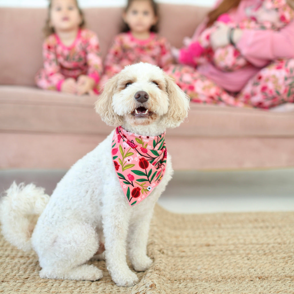 White dog wearing the Petals & Pomegranates pet bandana with family in matching pajamas in the background