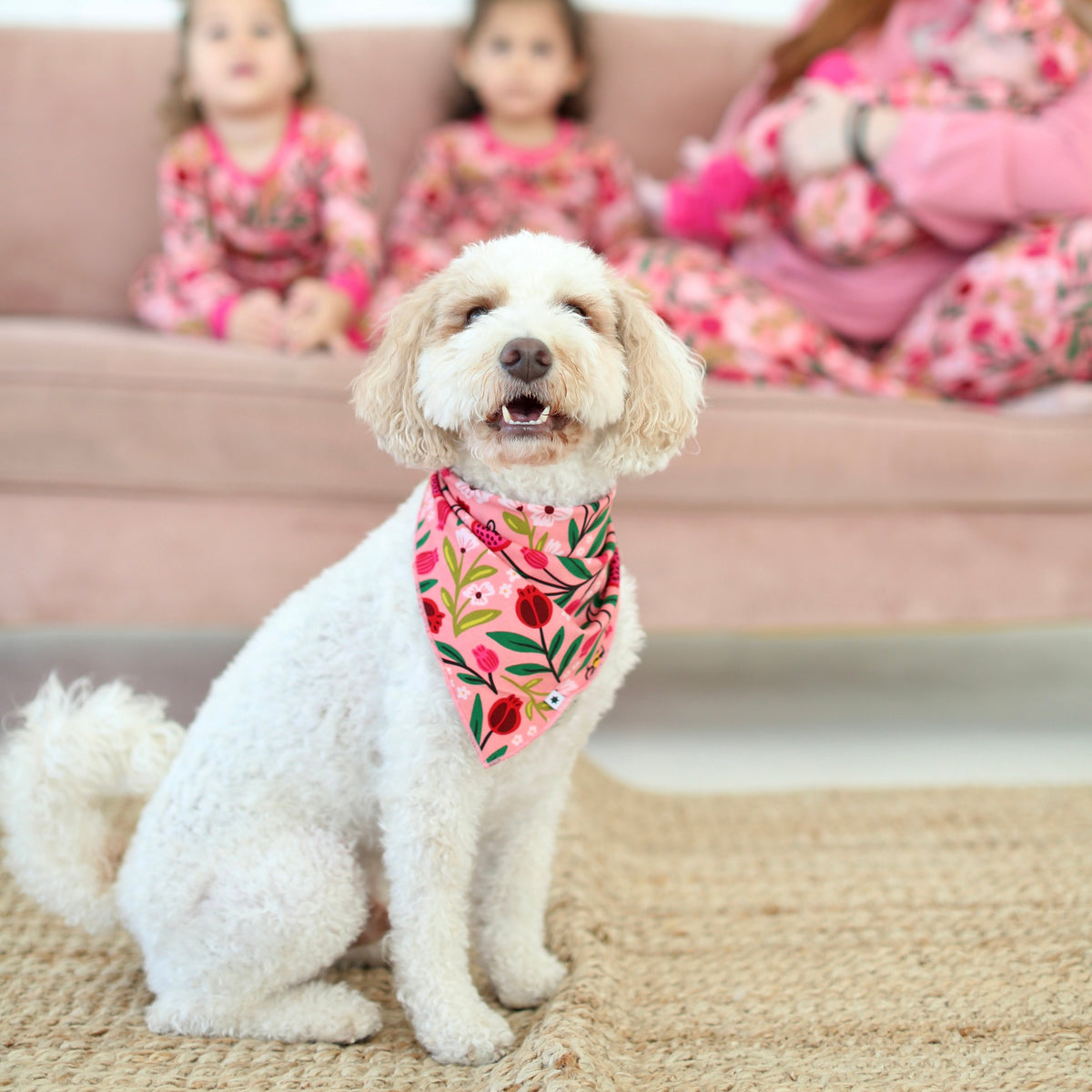 White dog wearing the Petals & Pomegranates pet bandana with family in matching pajamas in the background