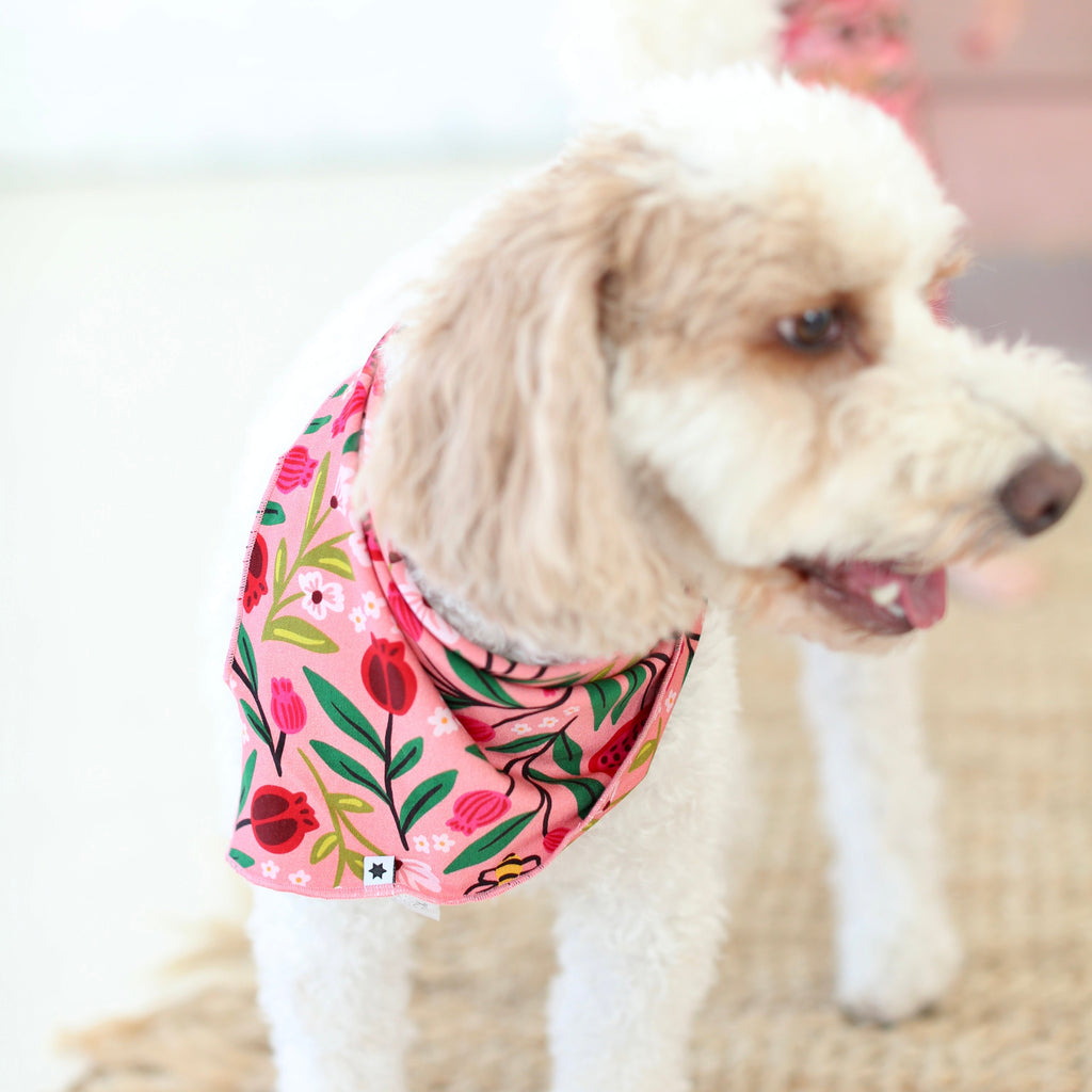 Side view of white dog wearing the Petals & Pomegranates pomegranate-print pet bandana