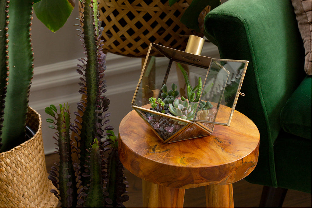 Dazzling Dreidel Duo Ornament Set