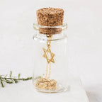Tiny Star of David Necklace displayed in a glass gift bottle