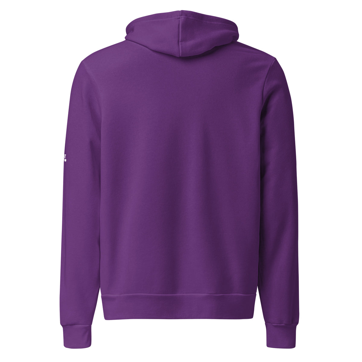 Team Purple The Ten Jewish Matriarchs unisex pullover hoodie by Eitan Chitayat for I'm That Jew®, back view