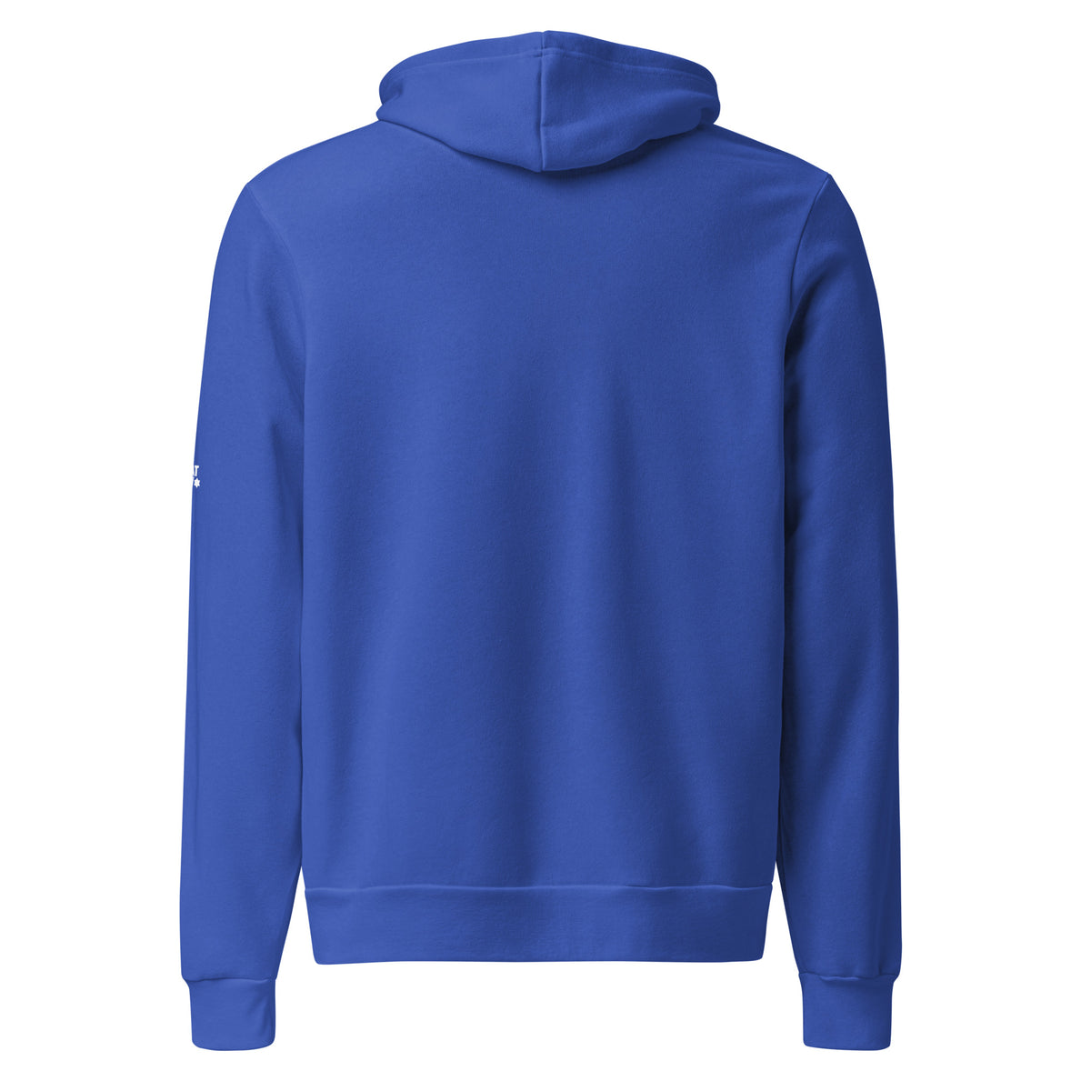 True Royal The Ten Jewish Patriarchs unisex pullover hoodie by Eitan Chitayat for I'm That Jew®, back view