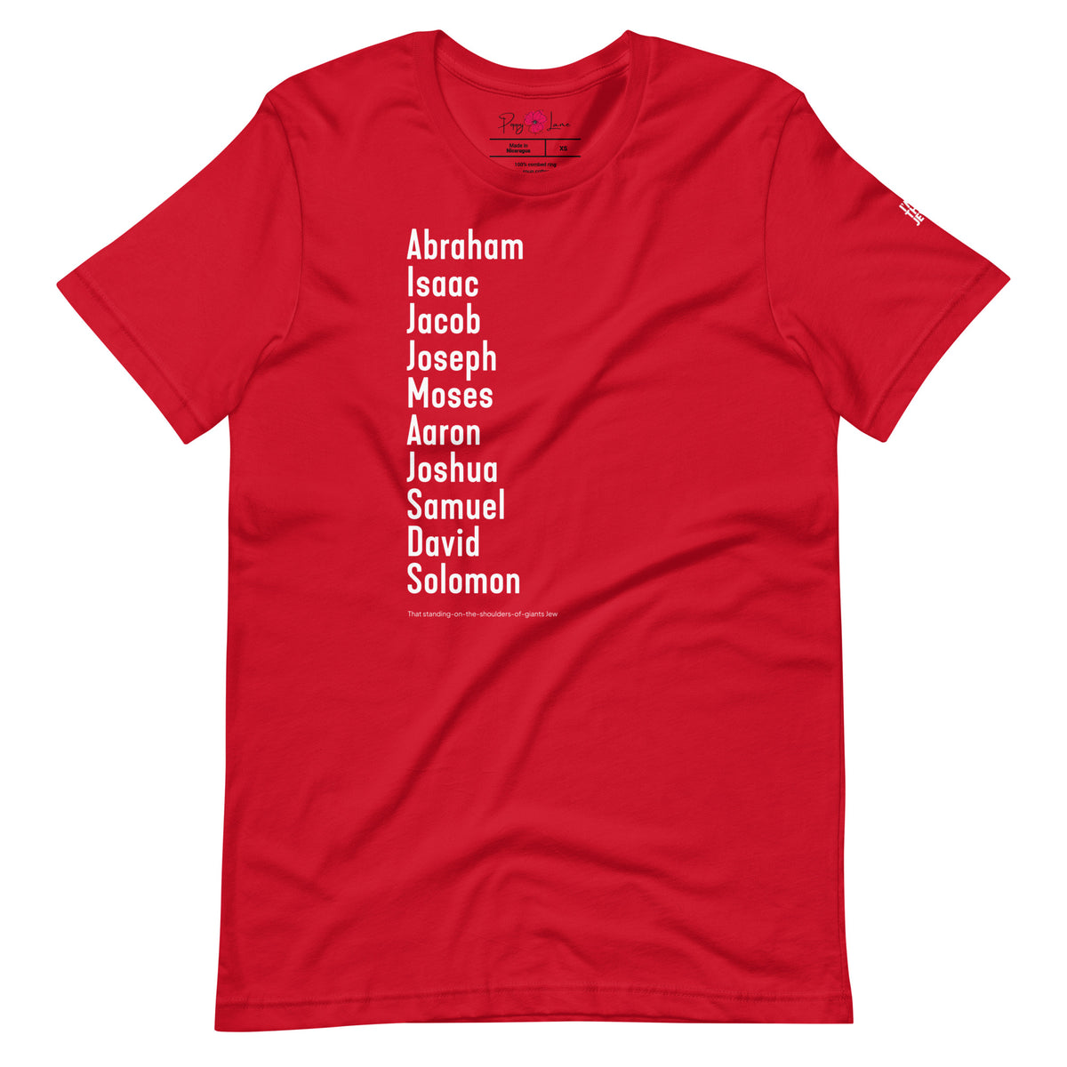 Front view of Red The Ten Jewish Patriarchs T-shirt by Eitan Chitayat for I'm That Jew®, featuring branded sleeve logo