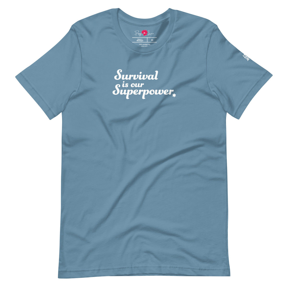 Front view of Steel Blue Survival Is Our Superpower T-shirt by Eitan Chitayat for I'm That Jew®