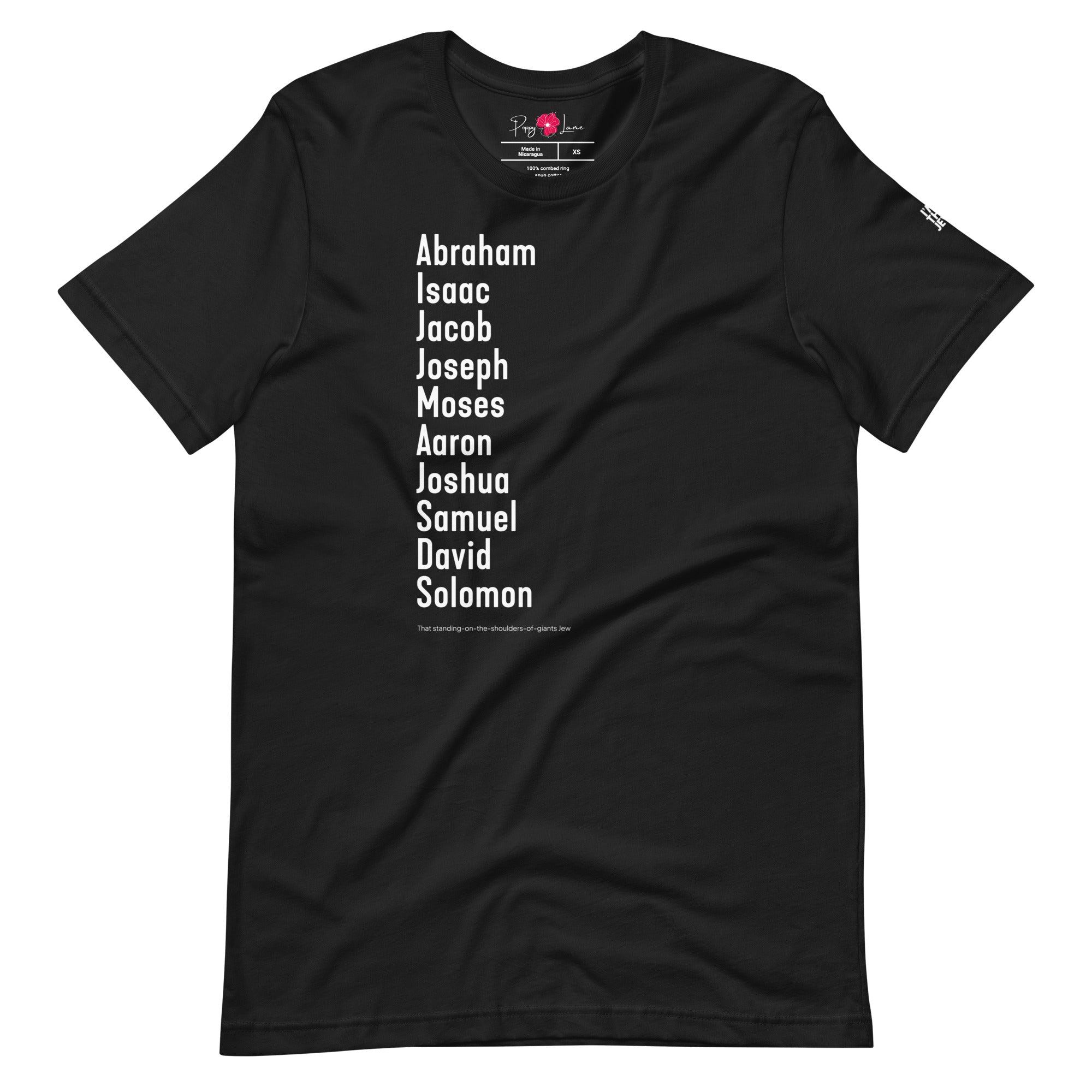 The Ten Patriarchs T-Shirt in Vintage Black by Eitan Chitayat