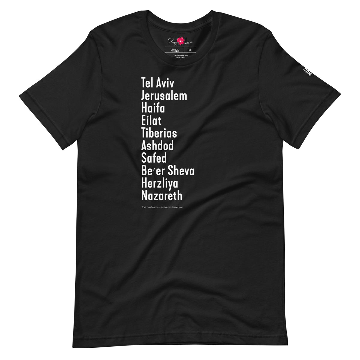 Front view of Vintage Black The Ten Israeli Cities T-shirt by Eitan Chitayat for I'm That Jew®, with branded sleeve logo