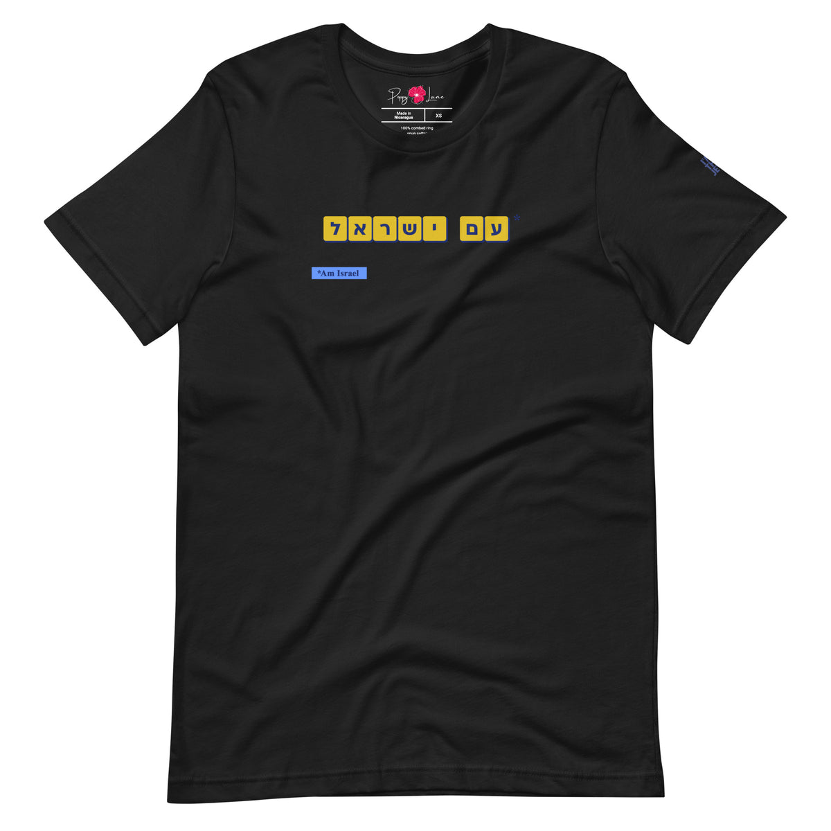 Front view of Vintage Black Am Yisrael T-shirt featuring Hebrew עם ישראל lettering by Eitan Chitayat for ZIONisM, with I'm That Jew® sleeve logo